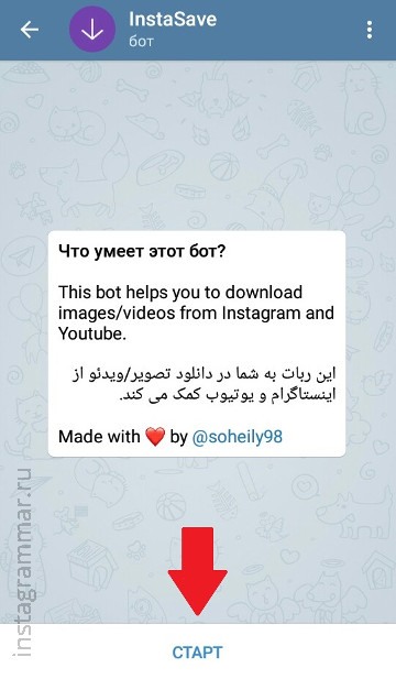 عرض قصص Instagram بشكل مجهول - Telegram bot