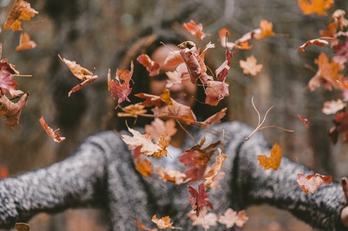 أفكار صور الخريف لـ instagram - فتاة ترمي أوراق الشجر في الغابة