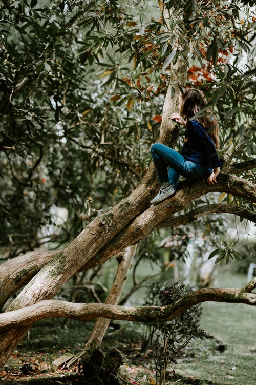 أفكار صور الخريف للإينستاجرام - فتاة على شجرة