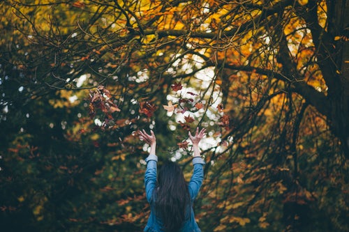 أفكار صور الخريف للإينستاجرام - رمي الأوراق في الغابة