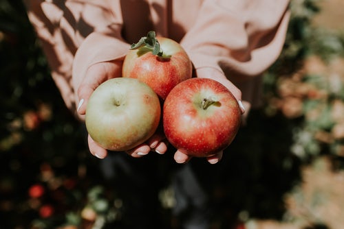 أفكار صور الخريف لـ Instagram - التفاح في متناول اليد