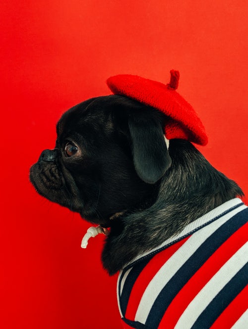 أفكار صور الخريف لـ instagram - الصلصال في قبعة حمراء