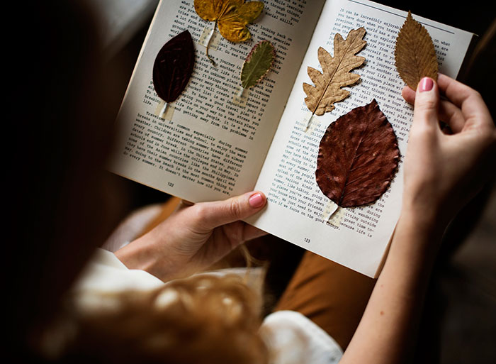 أفكار صور الخريف لـ Instagram - الأوراق الجافة في كتاب