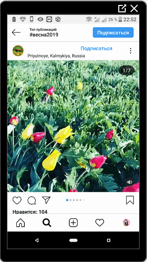 فيديو على Instagram عن الربيع